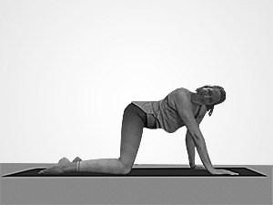 Yoga Schulterblick