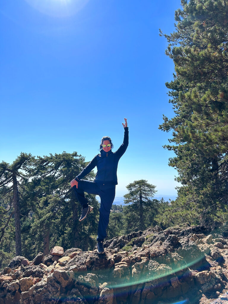 Ein Baum im Trodoos Gebirge